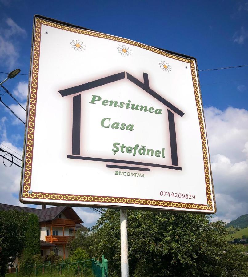 Pensiunea Casa-Stefanel سادوفا المظهر الخارجي الصورة